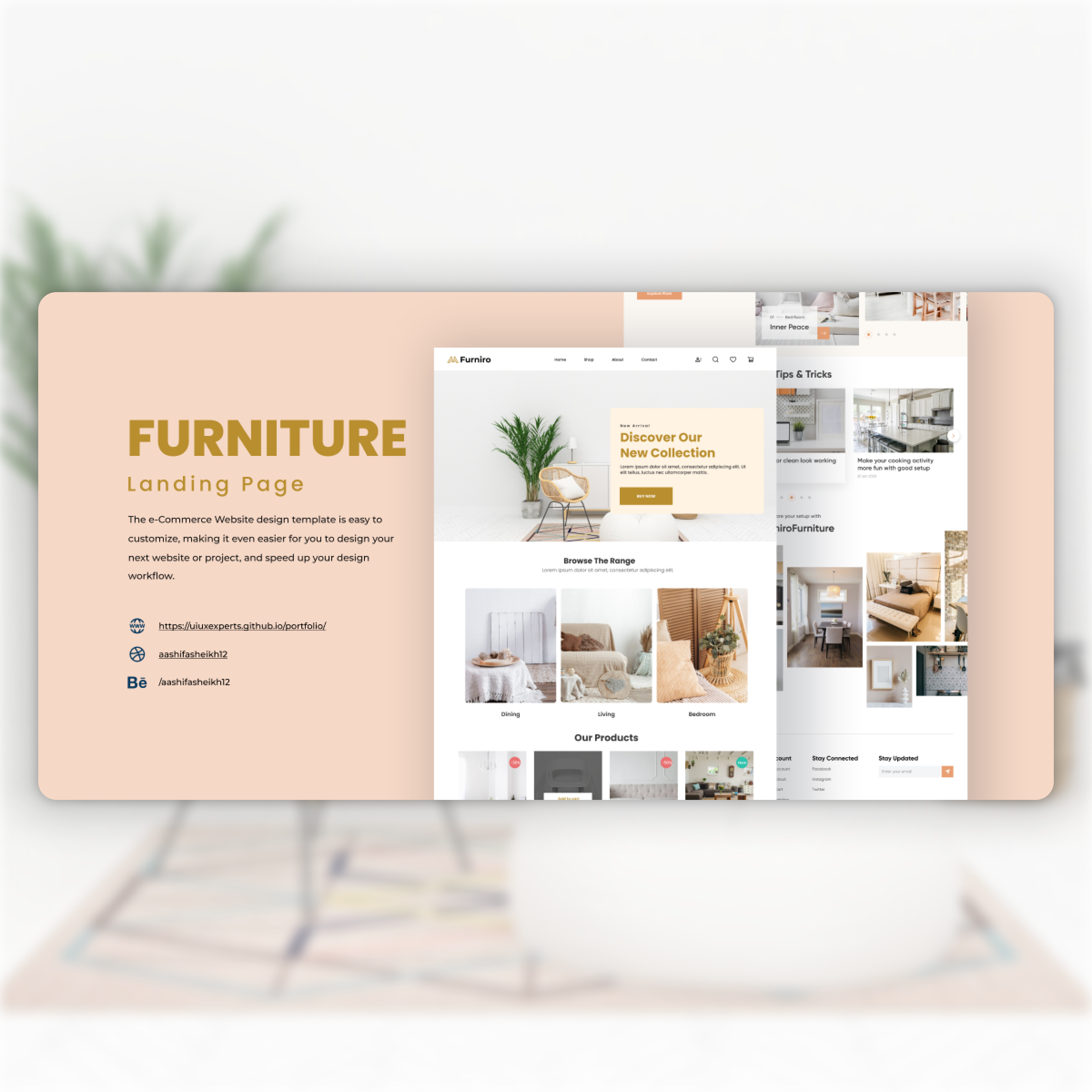Website Design for Local Businesses 